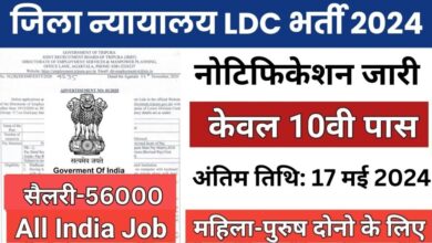 LDC Bharti 2024: डिस्ट्रिक्ट कोर्ट में निकली भर्ती,देखे क्या मांगी है योग्यता