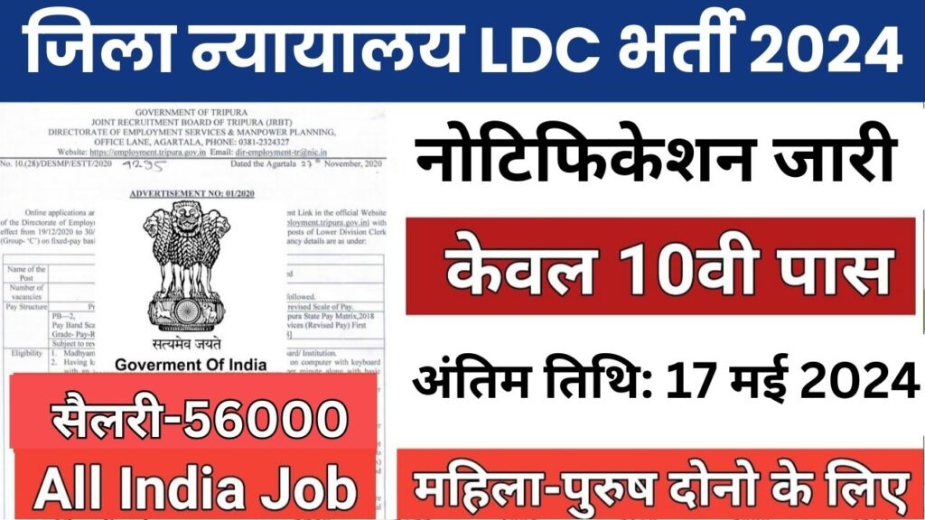 LDC Bharti 2024: डिस्ट्रिक्ट कोर्ट में निकली भर्ती,देखे क्या मांगी है योग्यता