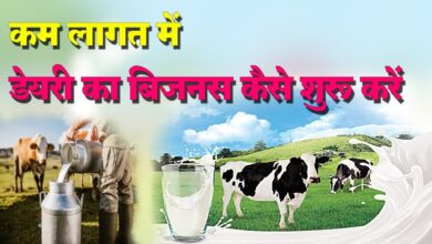 अंधाधुन कमाई करने के लिए आज ही शुरू करे Dairy Farming,जाने अपडेटेड तरीके