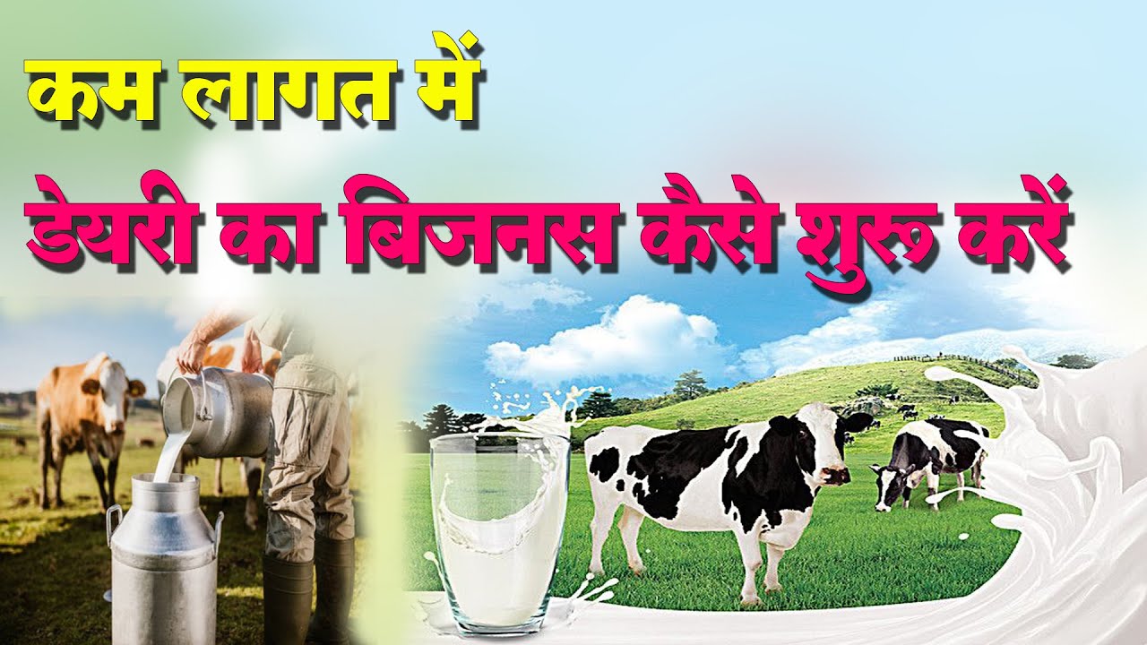 अंधाधुन कमाई करने के लिए आज ही शुरू करे Dairy Farming,जाने अपडेटेड तरीके