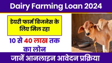 Dairy Farming Loan 2024: खुद का डेरी फार्म शुरू करने के लिए सरकार दे रही लोन,जल्द उठाये लाभ