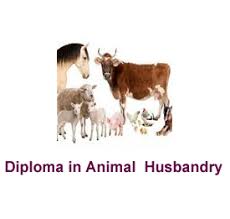 Animal Husbandry Diploma Course: 12वीं पास अभ्यर्थी पशुपालन डिप्लोमा कोर्स के लिए जल्द करे अप्लाई