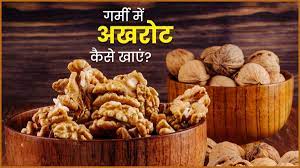 Health के लिए बेहद लाभकारी होता है अखरोट जाने गर्मियों में सेवन के अनगिनत लाभ